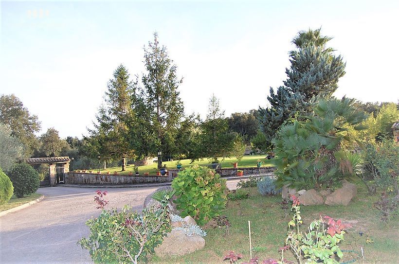 Espectacular masia amb 24 hectàrees de terreny, 300 oliveres, vinyes i piscina de 17x7m2 a CALONGE