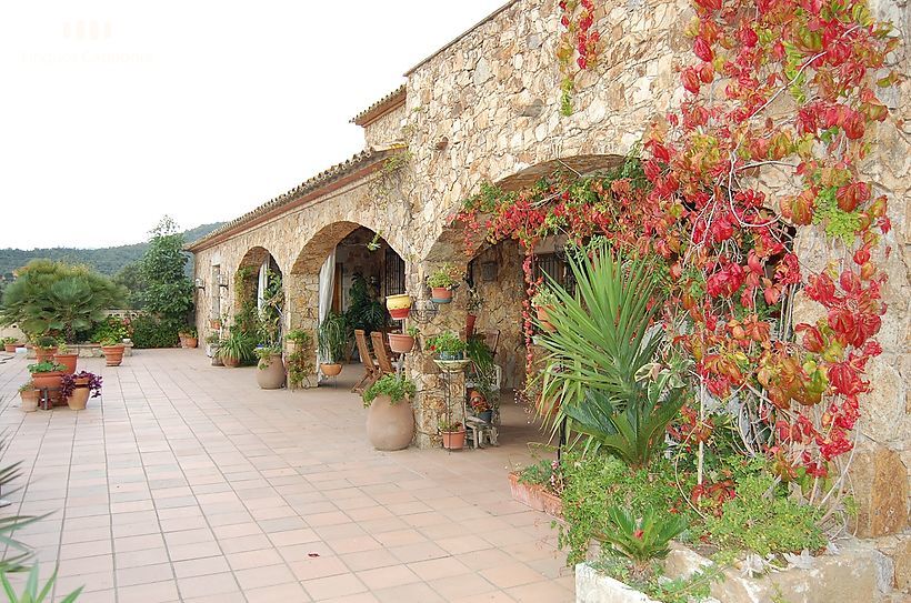 Ferme spectaculaire avec 24 hectares de terrain, 300 oliviers, vignes et piscine de 17x7m2 à CALONGE