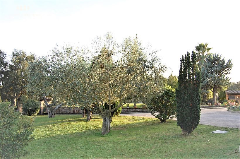 Espectacular masía con 24 hectáreas de terreno, 300 olivos, viñas y piscina de 17x7m2 en CALONGE