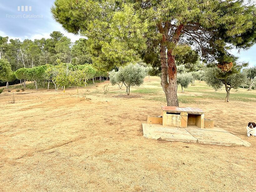 Rustic house with 15,000 m2 of fenced plot with olive trees in Palamós