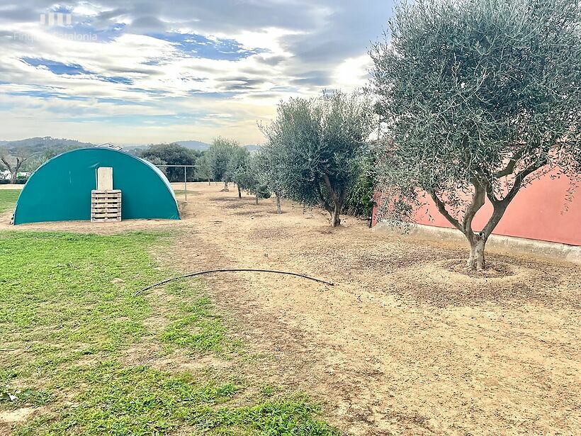 Casa rústica con 15 mil m2 de parcela vallada con olivos en Palamós