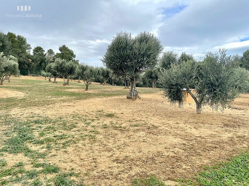 Rustic house with 15,000 m2 of fenced plot with olive trees in Palamós