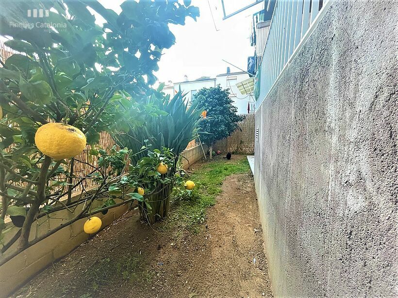 Ground floor with 4 bedrooms, terrace, patio and storage room in Calo