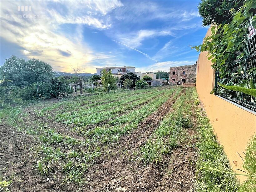 Casa en ruinas con parcela de 472 m2 tocando MAS BARCELÓ CALONGE