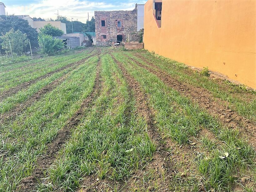 Casa en ruinas con parcela de 472 m2 tocando MAS BARCELÓ CALONGE